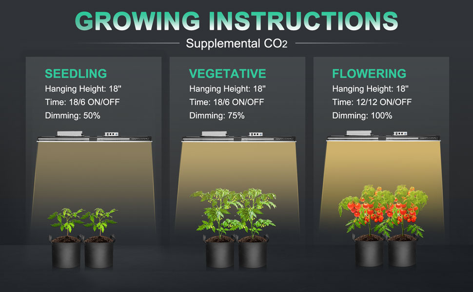 Growing-instructions-of-SP3000-for-different-growth-stages