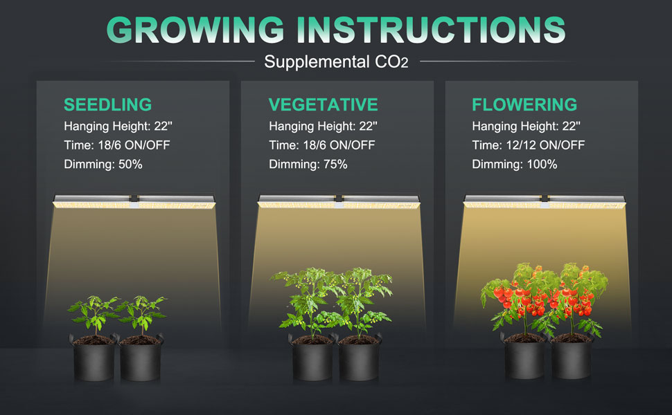 Mars-Hydro-SP6500-growing-instructions-for-different-growth-stages