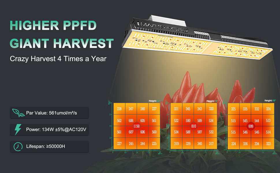 SP150 led with higher PPFD, crazy harvest 4 times a year