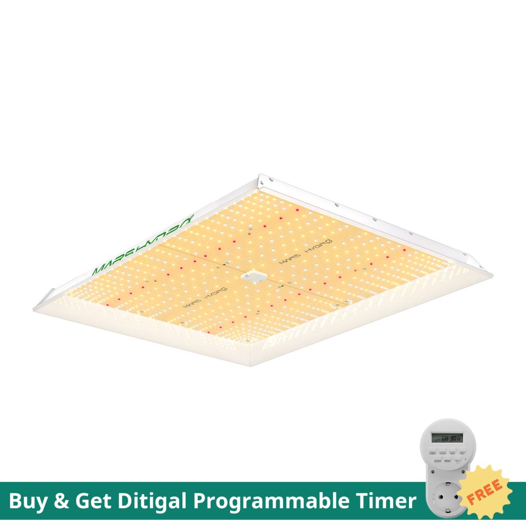 TSW2000FREE-TIMER