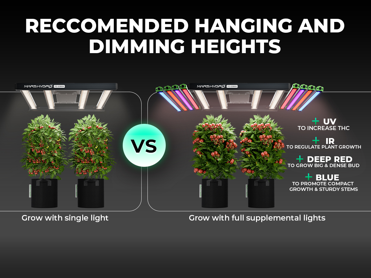 Best LED for Indoor Plants | Mars Hydro FC-E6500 730W Light Bar