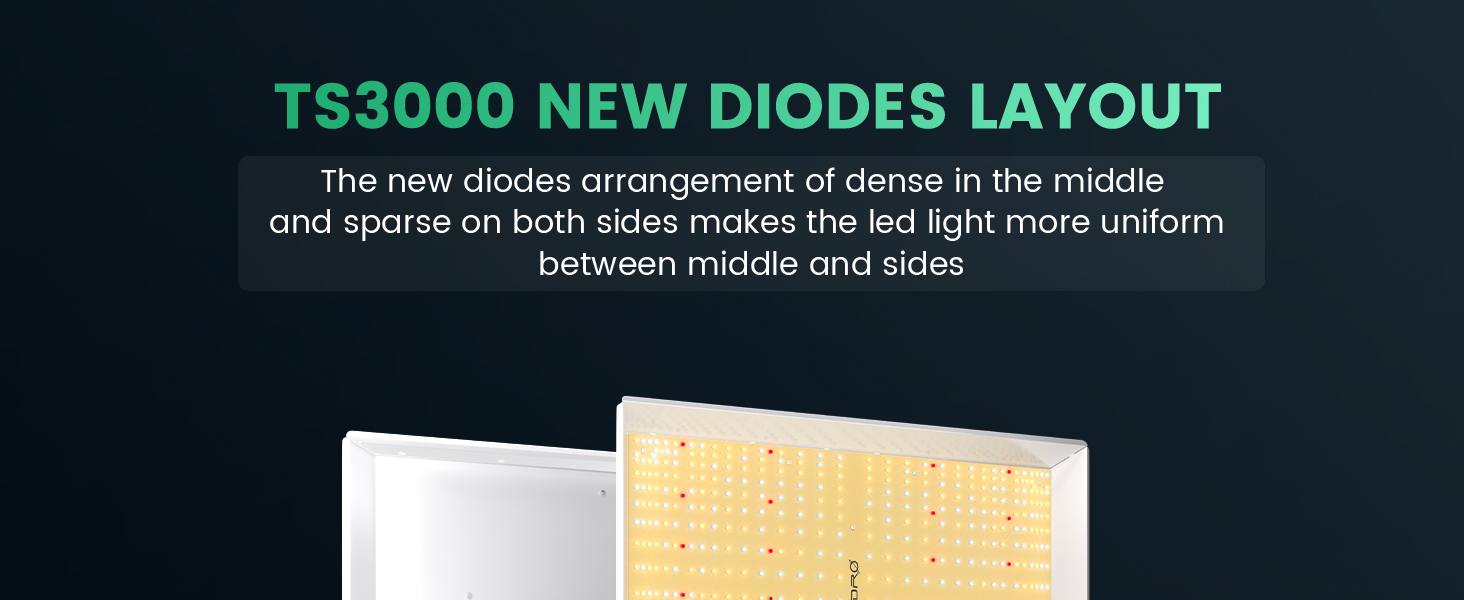 TS3000 NEW DIODES LAYOUTThe new diodes arrangement of dense