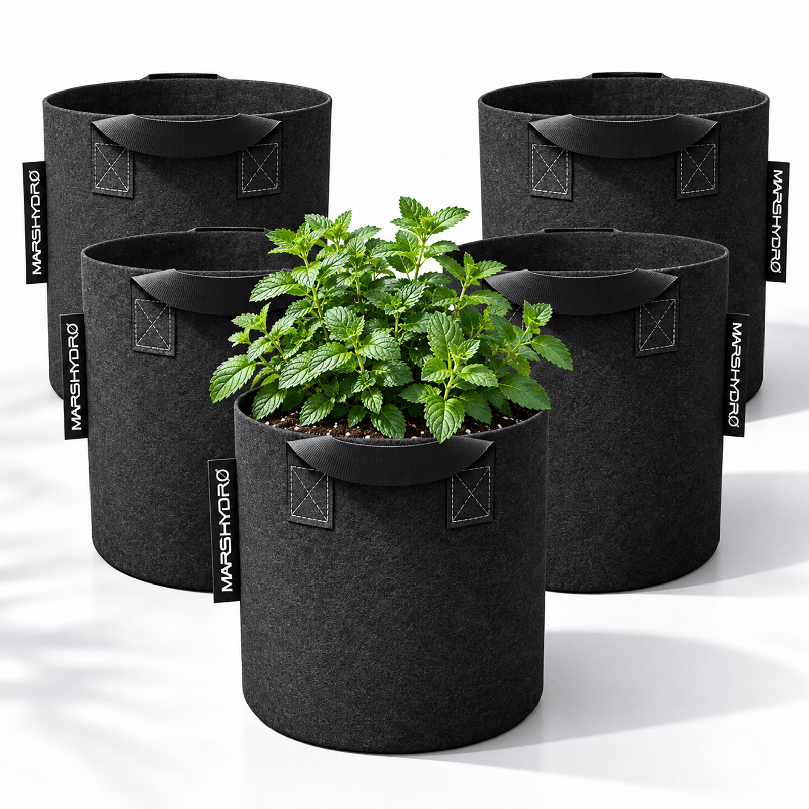 growbag01