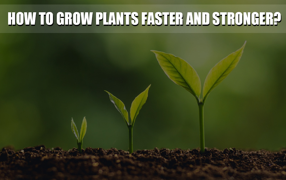 How to grow plants faster and stronger? Mars Hydro AU