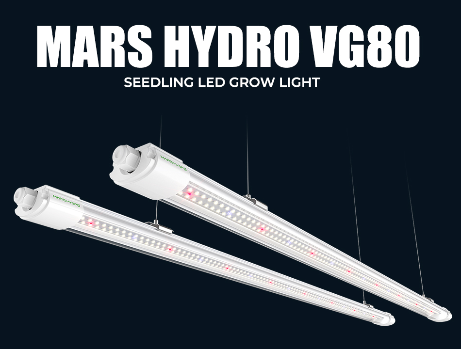 Mars Hydro VG80 The Best Grow Light for Seedling Veg Cloning