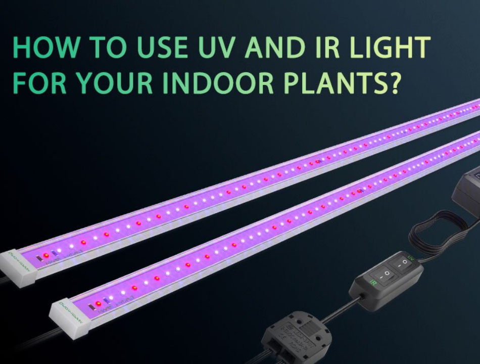 Is a grow light deals a uv light