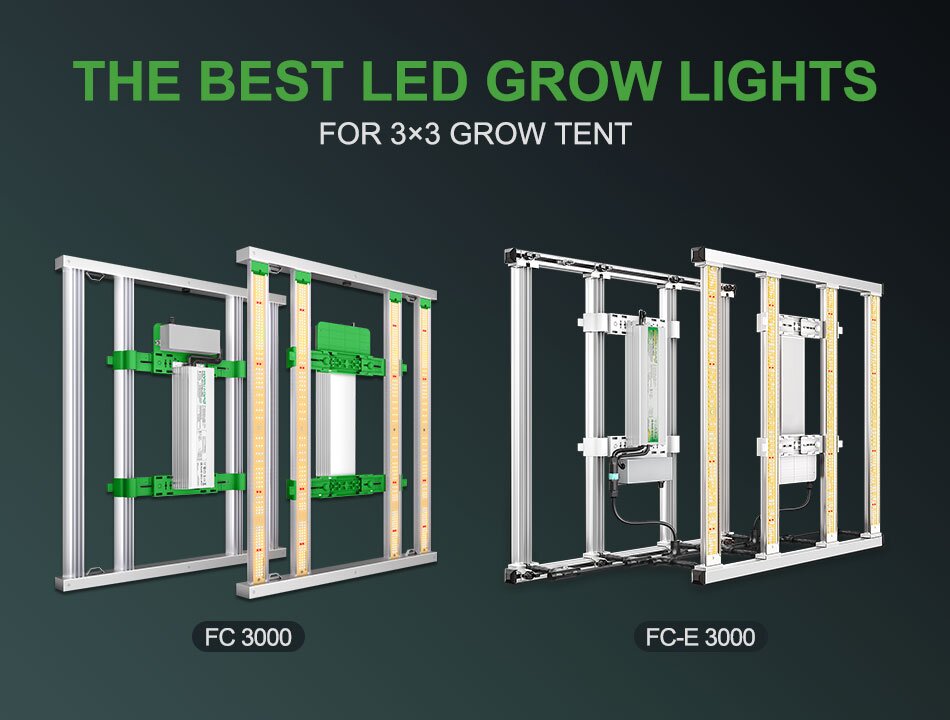 The Best LED Grow Lights for Your 3x3 Grow Tent in 2023