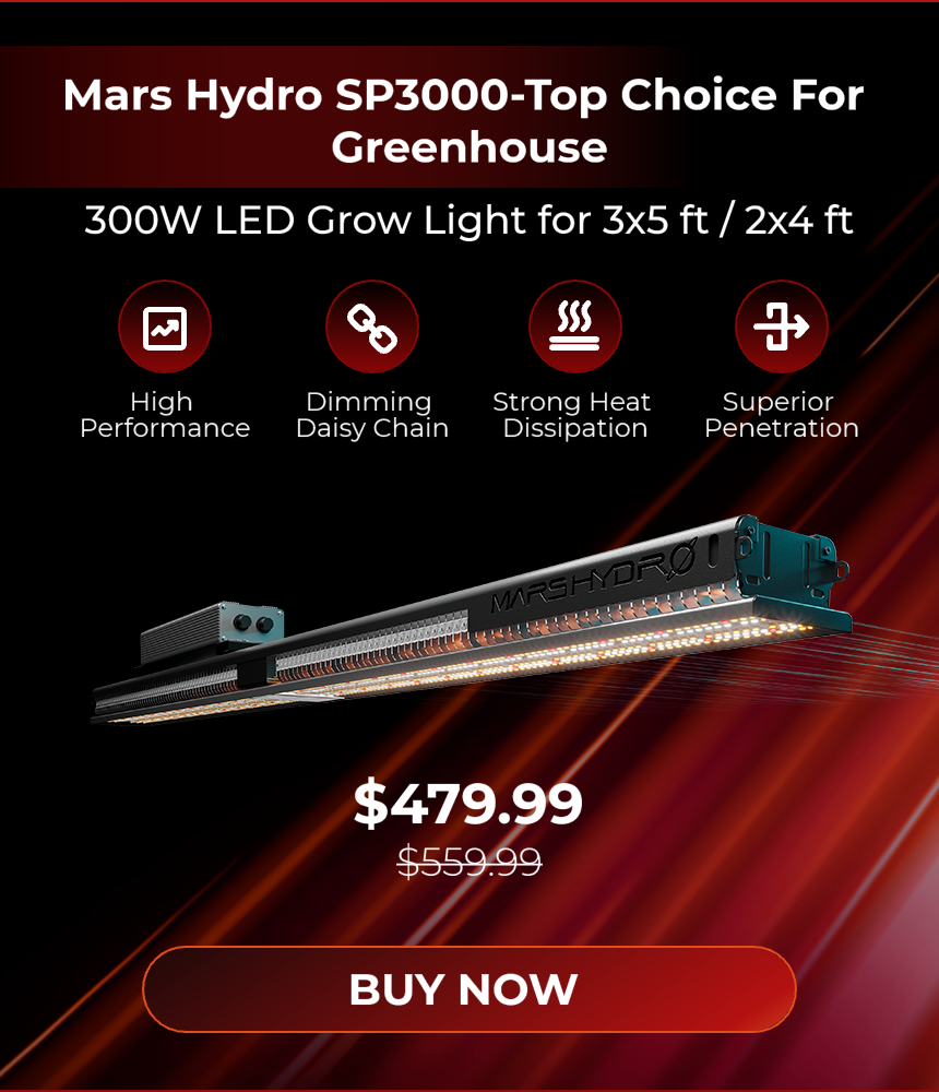 Mars Hydro SP3000 LED Grow Light –