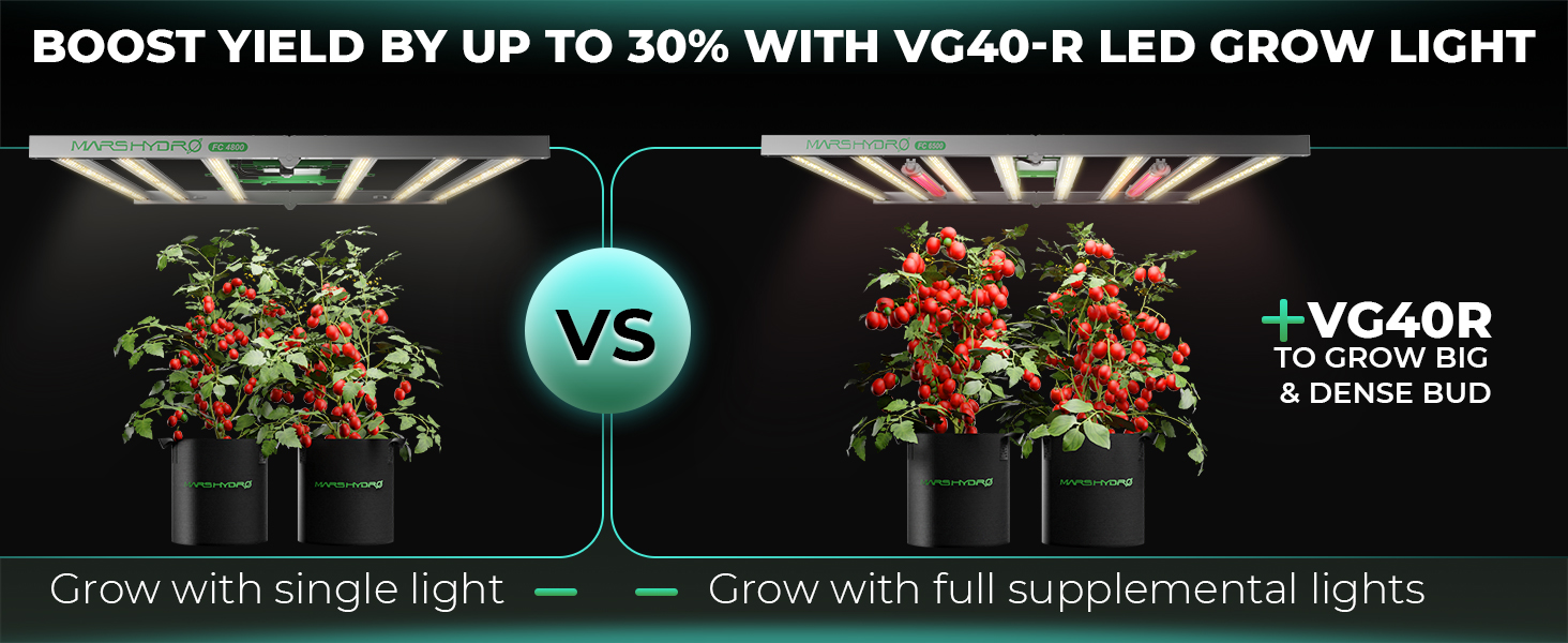 vg40-red-supplemental-light-scaled