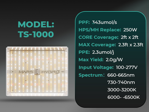 mars hydro ts1000 info