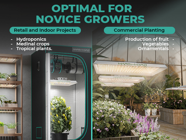 mars hydro ts1000 for novice growers