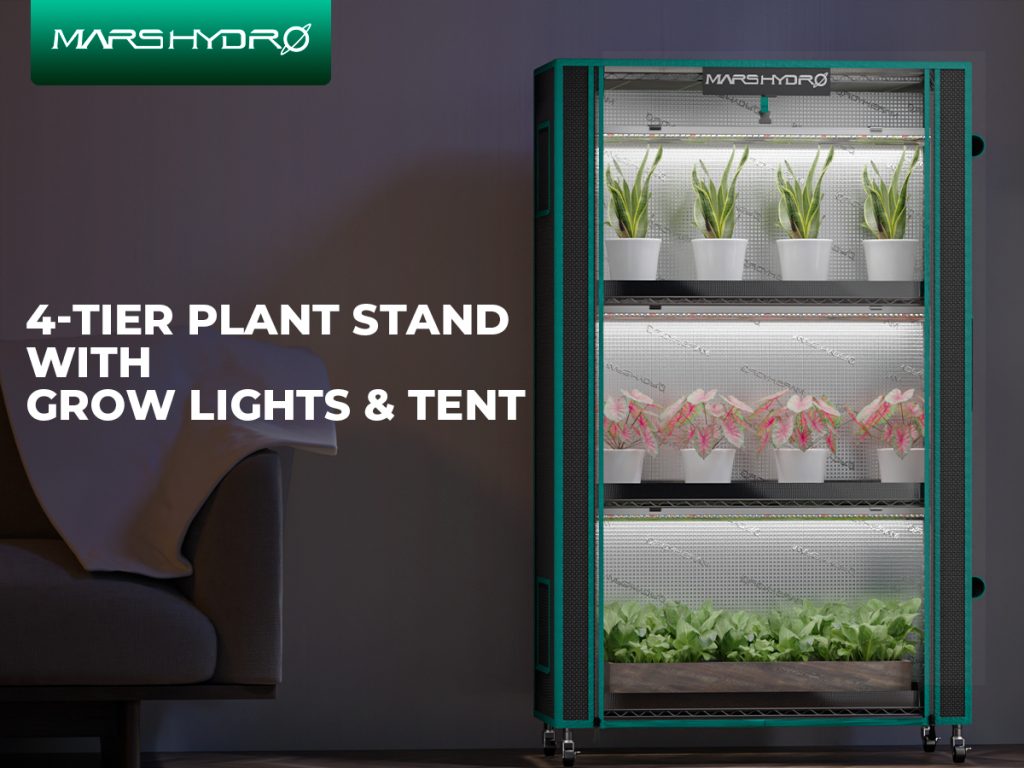 4-tier plant stand M with grow light and tent