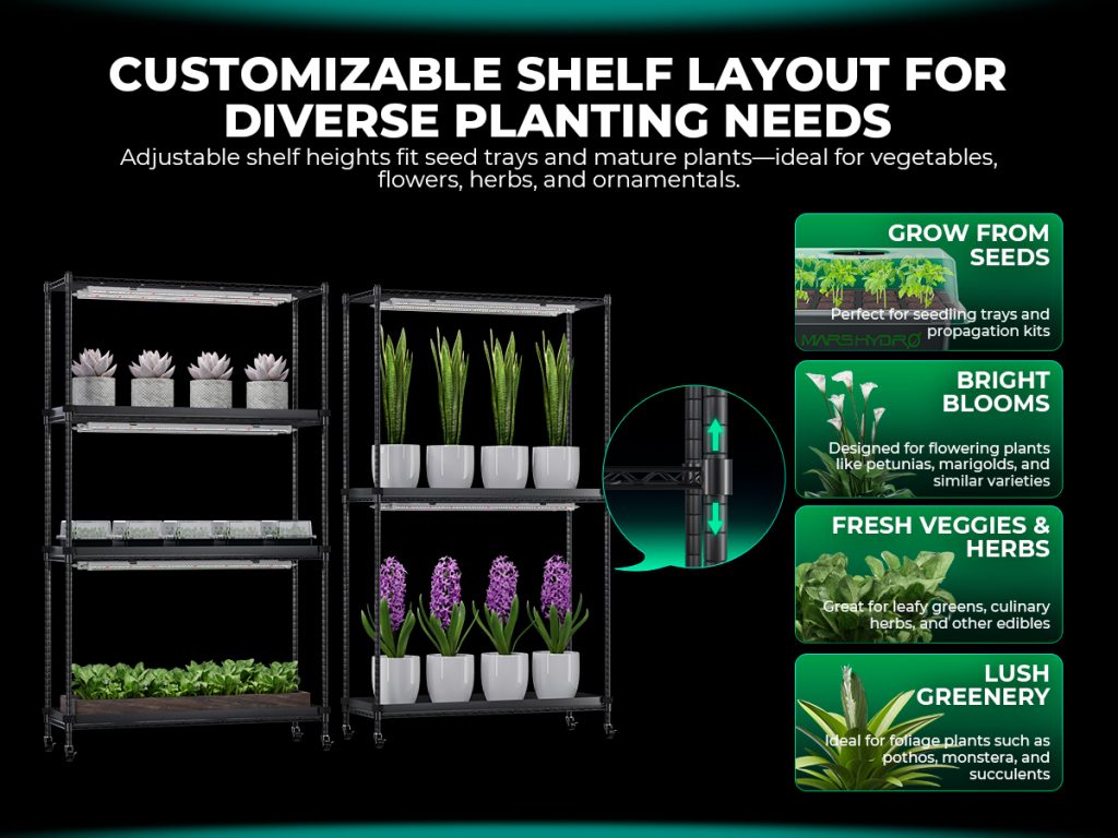 customizable shelf plant stand