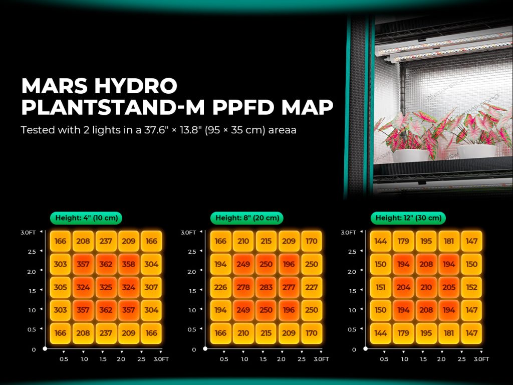 plant stand M PPFD map