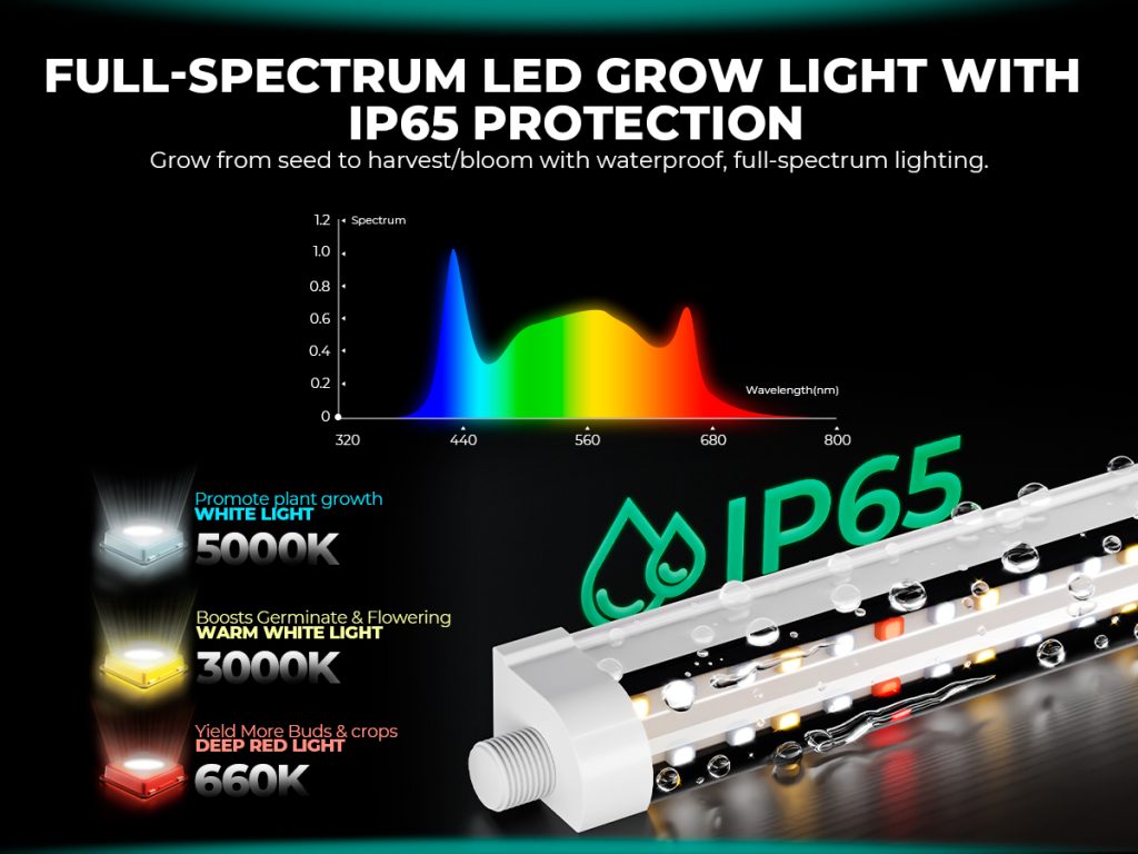 plant stand with IP65 full spectrum led grow light