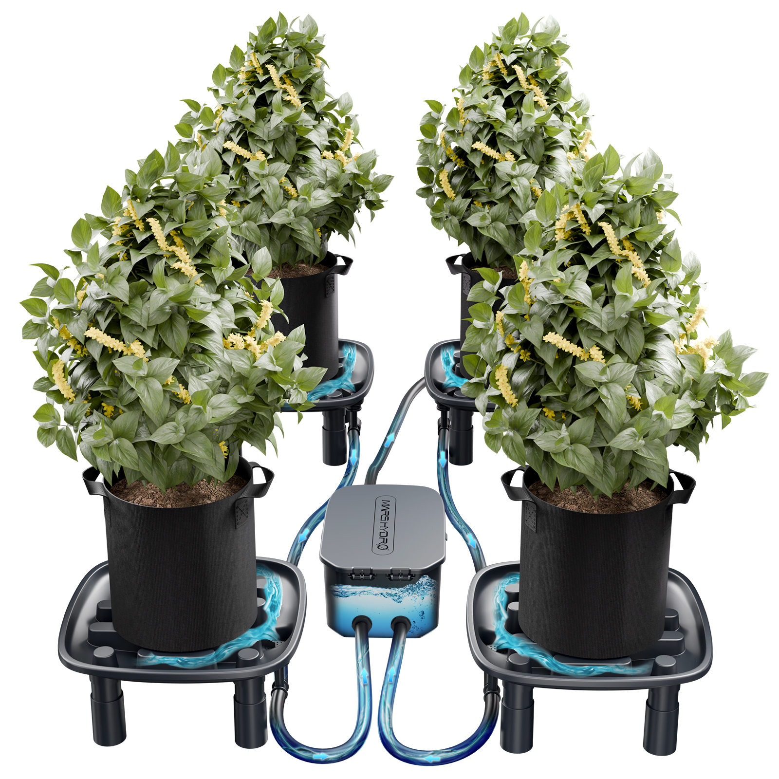 mars-hydro Auto-Drainage System for plants grow garden mars-hydro Auto-Drainage System for plants grow garden