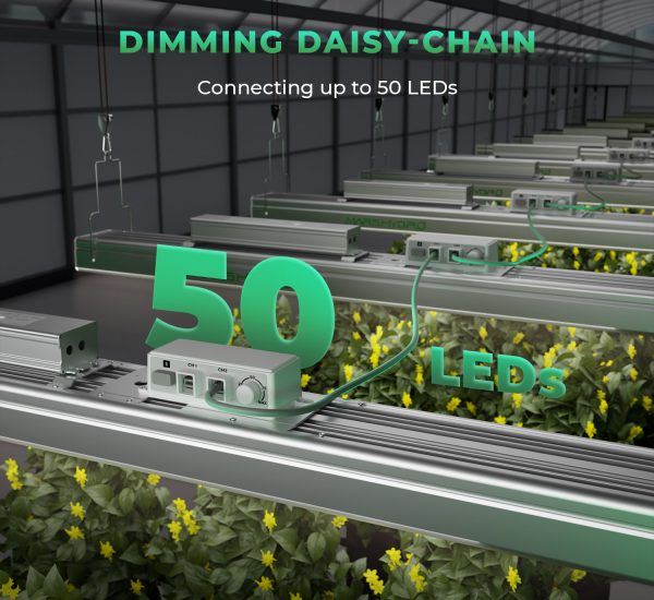 SP-3000-G-5.jpg SP-3000-G-5.jpg